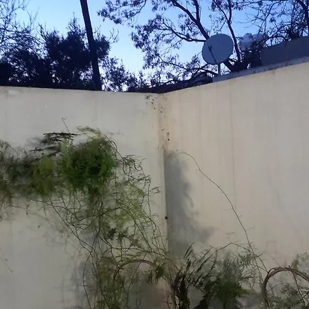 Chris House بيت للعطل