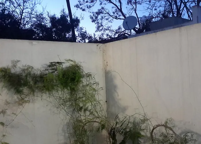 Chris House Case de vacanță